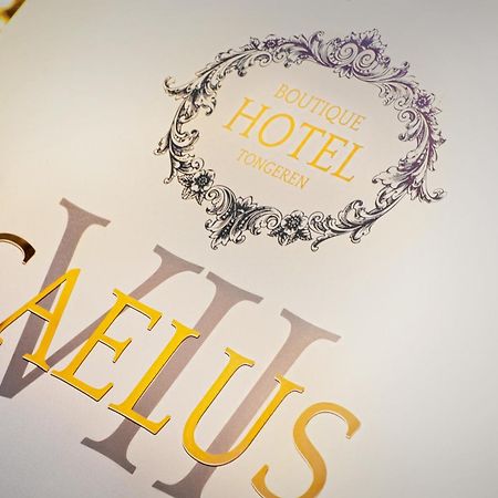 Boutique Hotel Caelus VII Тонгерен Екстер'єр фото