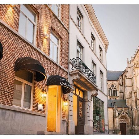 Boutique Hotel Caelus VII Тонгерен Екстер'єр фото