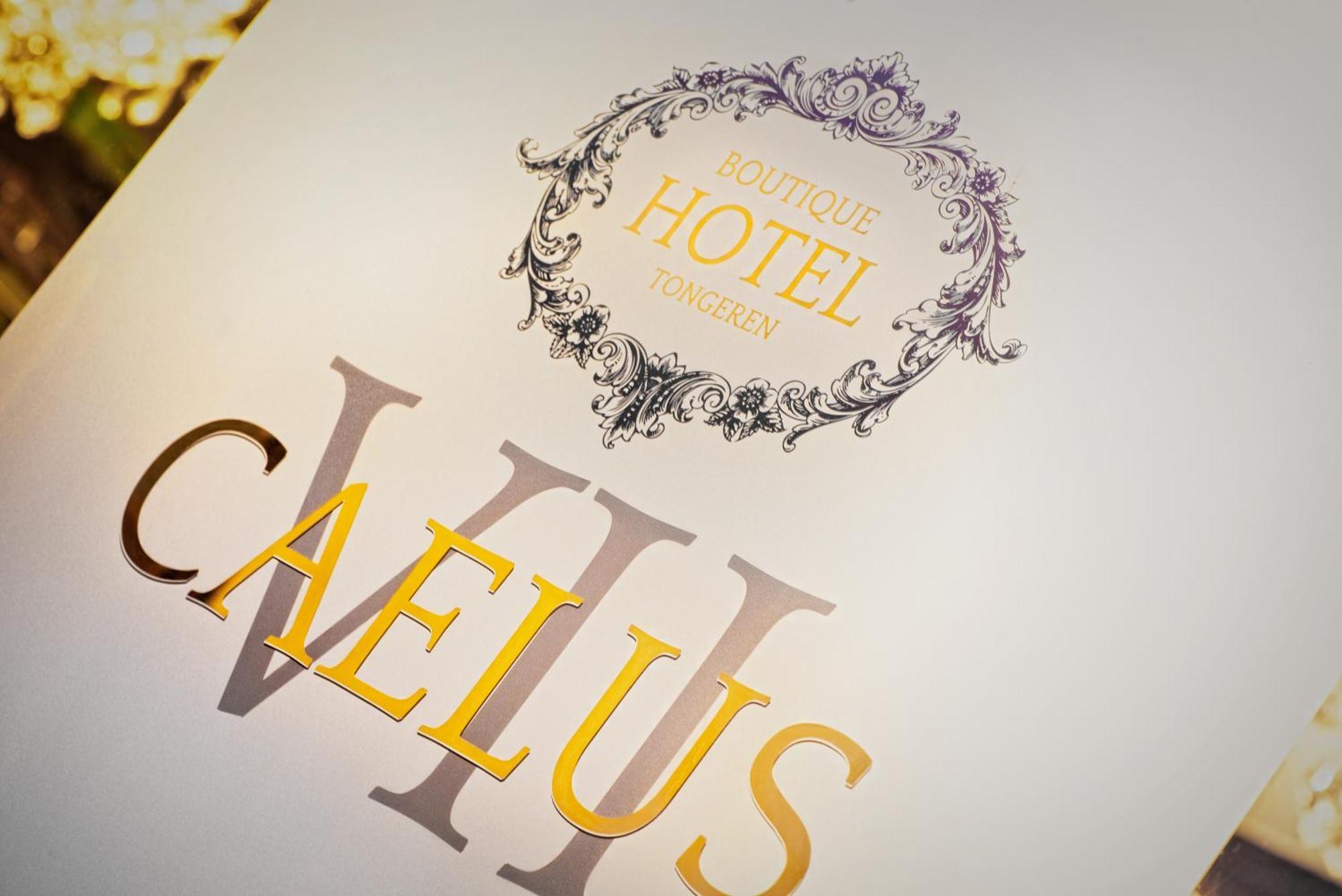 Boutique Hotel Caelus VII Тонгерен Екстер'єр фото